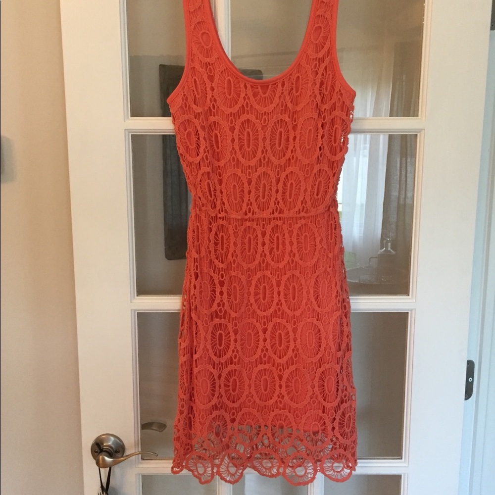 3 for $24! BEAUTIFUL dress